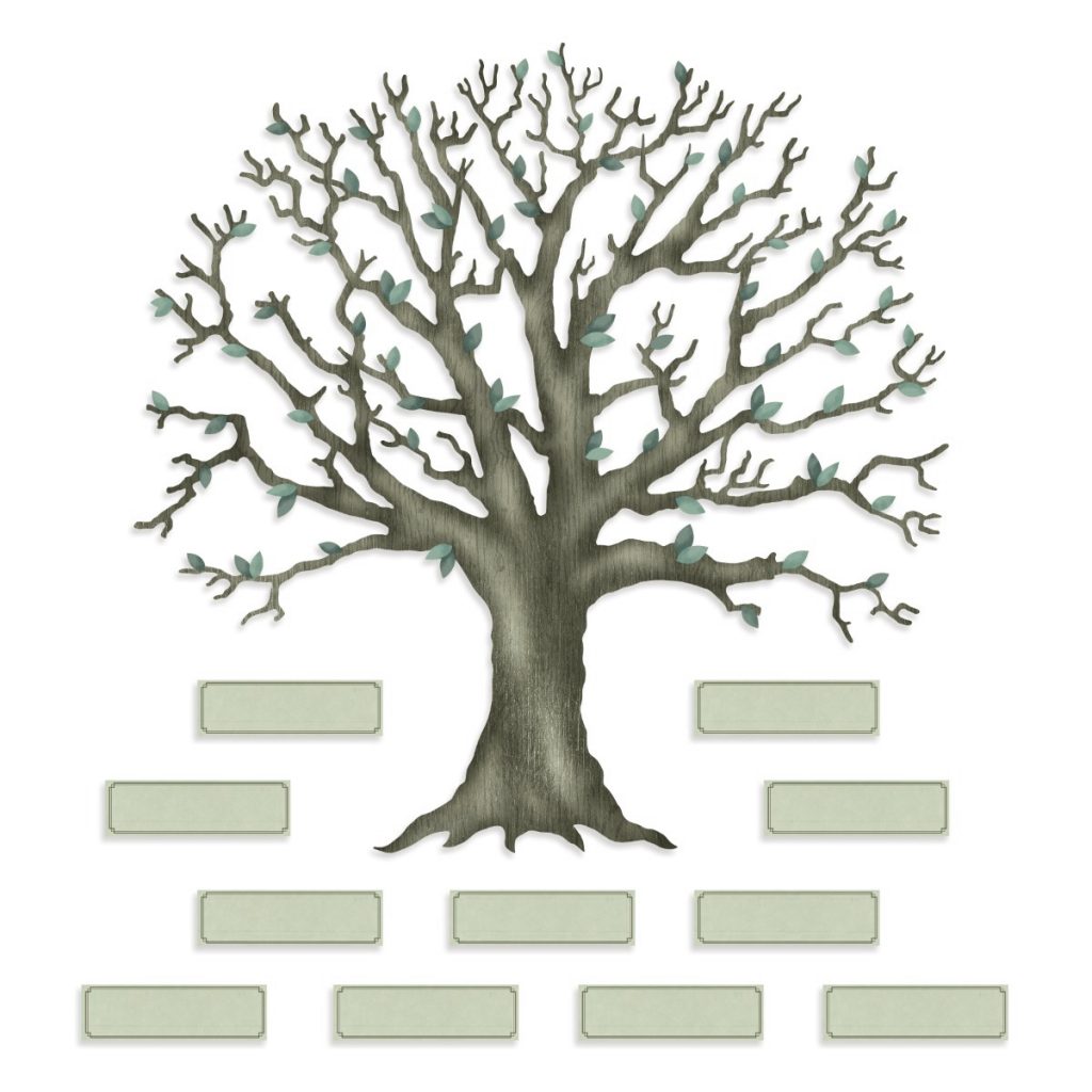 my family tree website